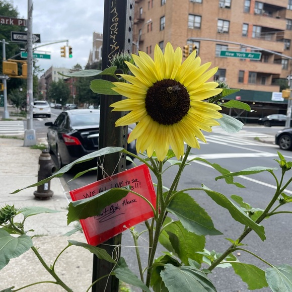 Meet your Posher, Alina - Picture 1 of 1